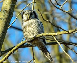 Sperrbildschirm00001