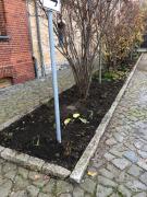 PHOTO-2020-11-28-17-04-38-5