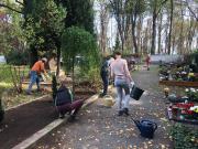 Pflanzung-von-9-Sauleneiben-am-Mahnmal-der-Gefallenen-des-Todesmarsches