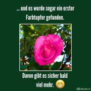 f0005150-61a9-4b67-ad06-aa009c3ef30e